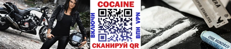 COCAIN Fish Scale  Купить где  Октябрьский 