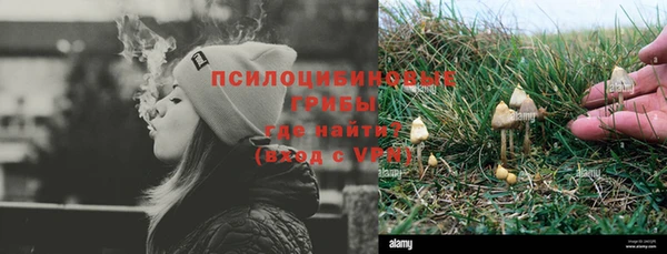 МДПВ Семёнов